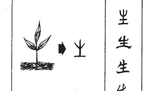 鱼脑石怎么用才有效果专区_鱼脑石的作用专区_鱼脑石作用网